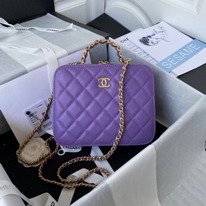 Chanel Handbags 1037